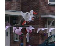 Ooievaar voor vlaggen mast