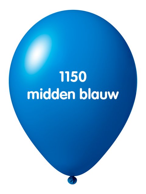 Onbedrukte ballonnen 10 st M Blauw foto
