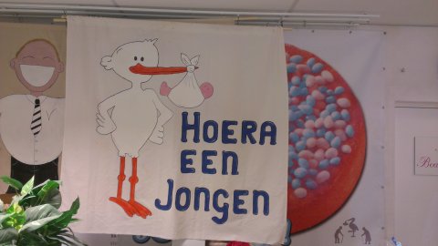 Ooievaar spandoek jongen foto