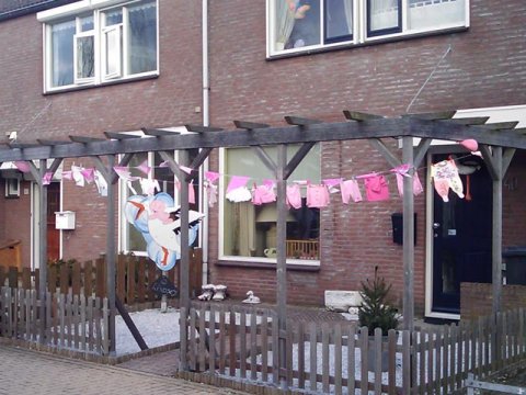 Ooievaar met baby op de rug foto