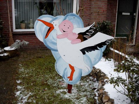 Ooievaar met baby op de rug foto