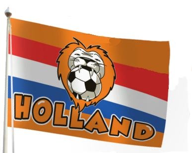 Holland vlag foto