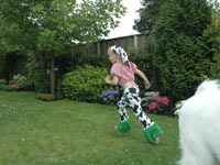 Boerinnetje