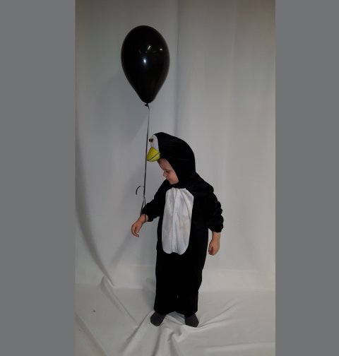 Pinguin pakje 98 foto